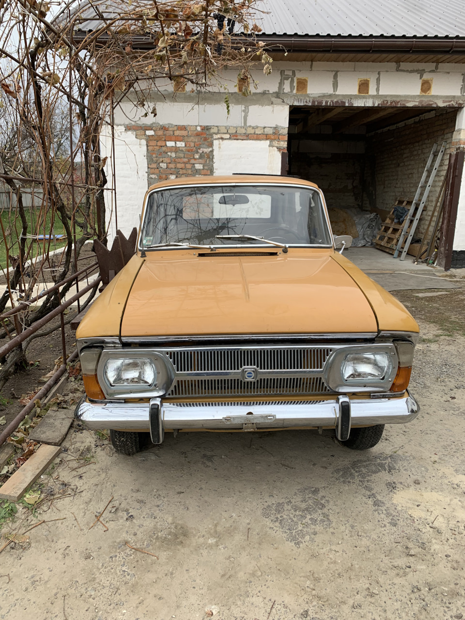 Пара фото для архіву 5