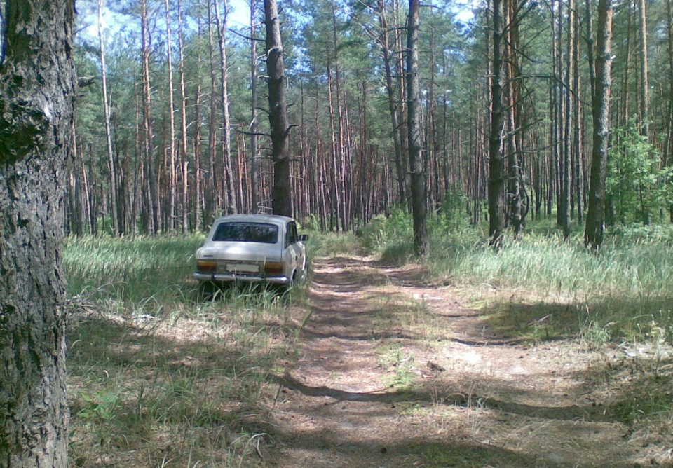 Фотки на природі) 2