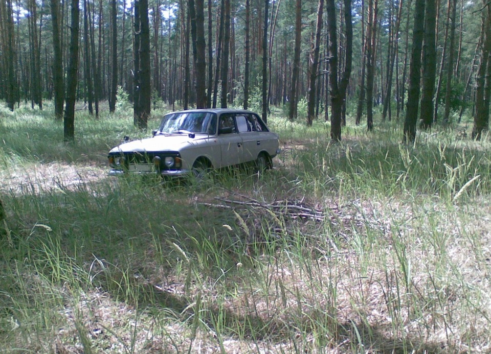 Фотки на природі) 5