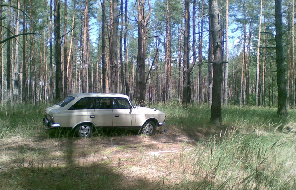 Фотки на природі) 1