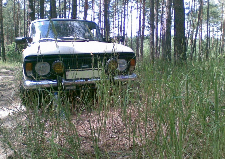Фотки на природі) 3