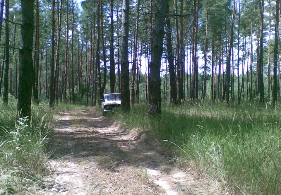 Фотки на природі) 4