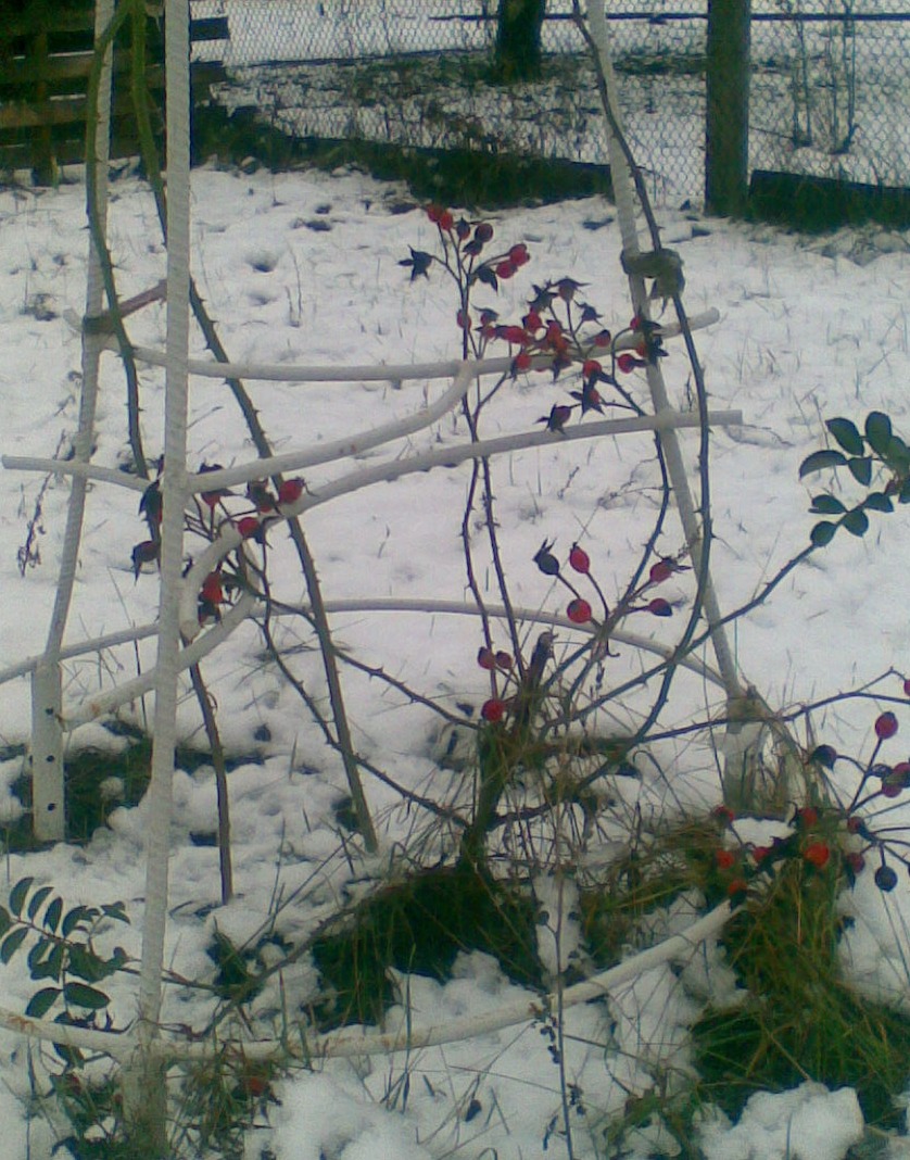 Зима) 2