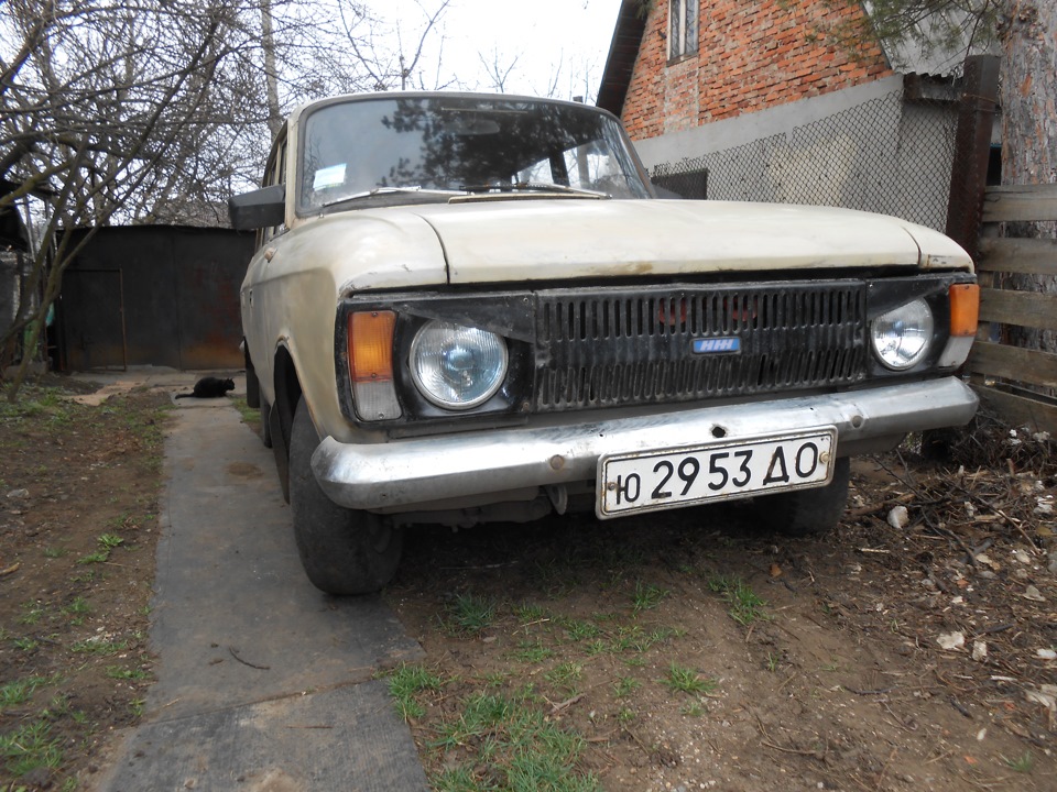 Був на природі вирішив зробити пару фотографій 1