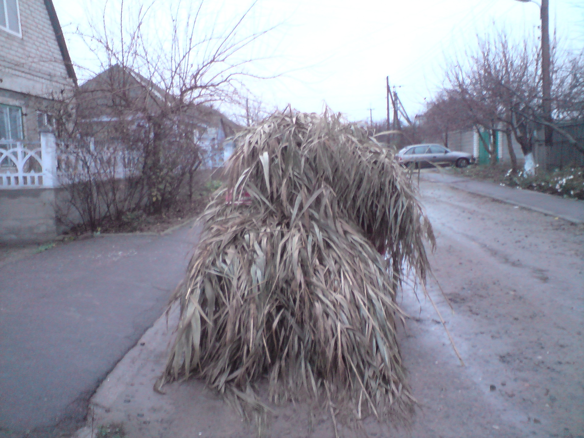 Запис, 26 лютого 2010 3