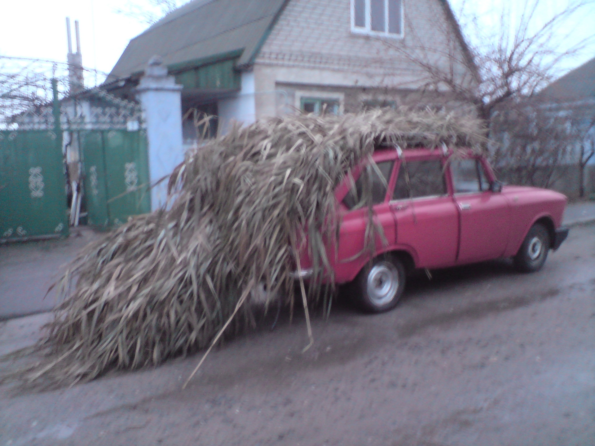 Запис, 26 лютого 2010 2