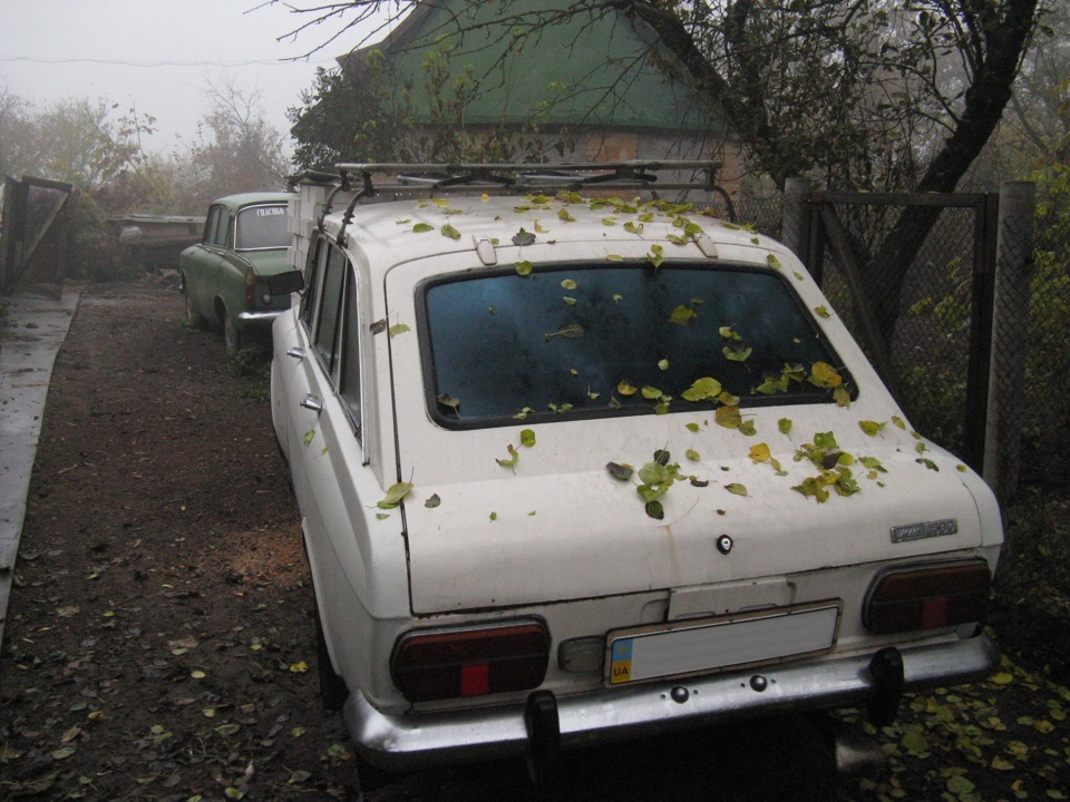 Фото осені 4