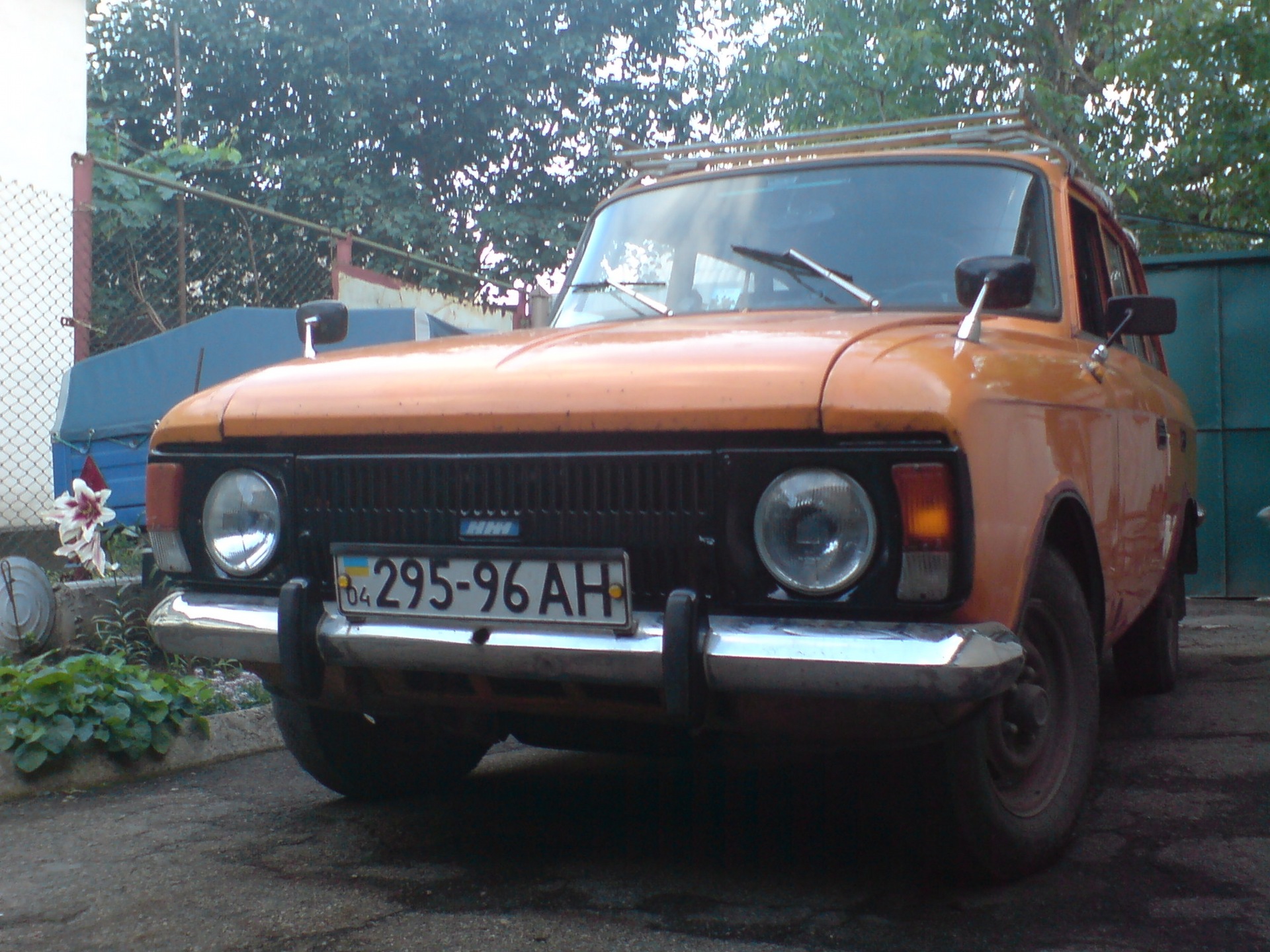 Нові фотки 4