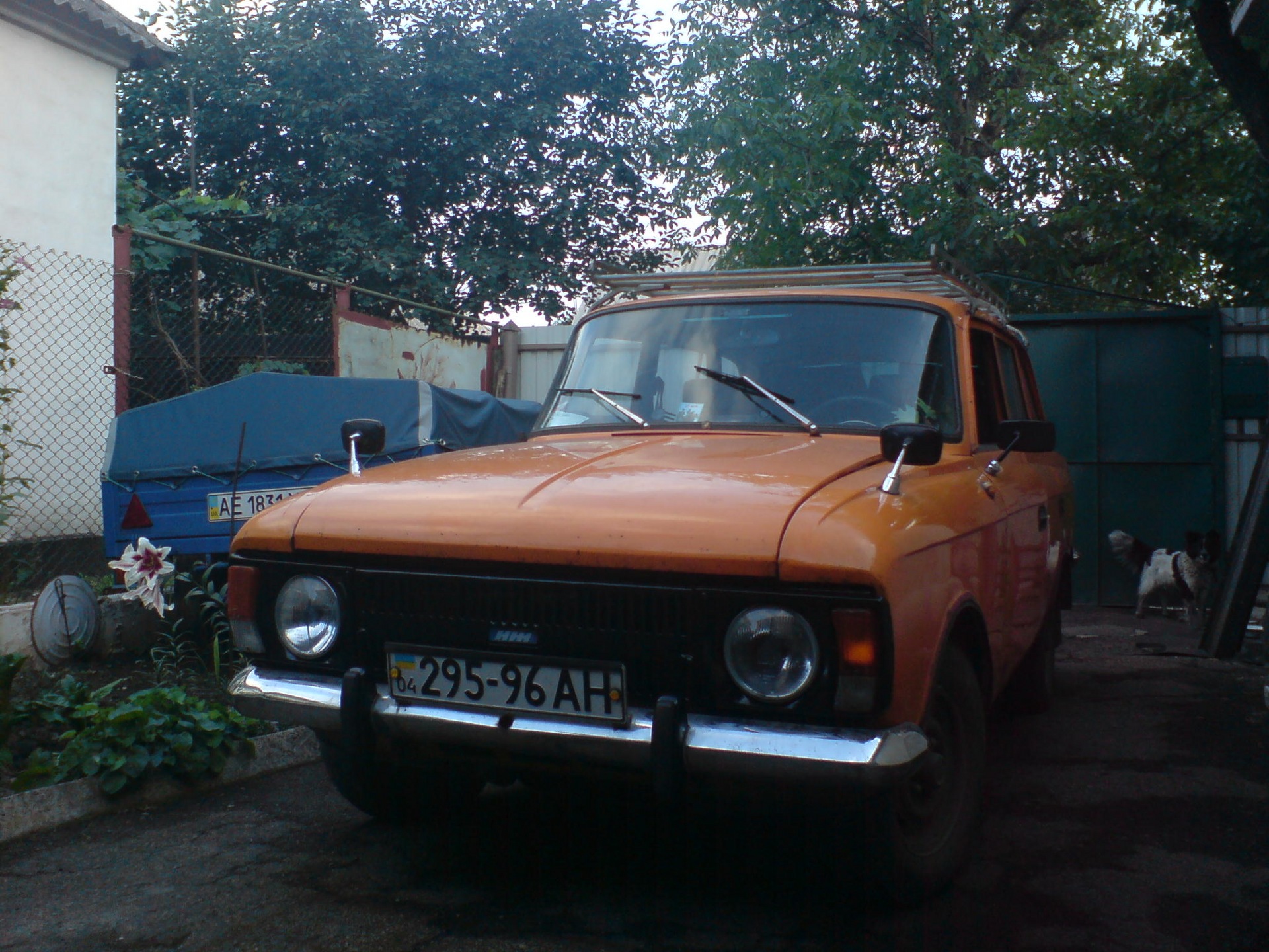 Нові фотки 3