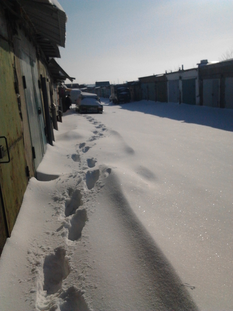 Відвідав моську 1
