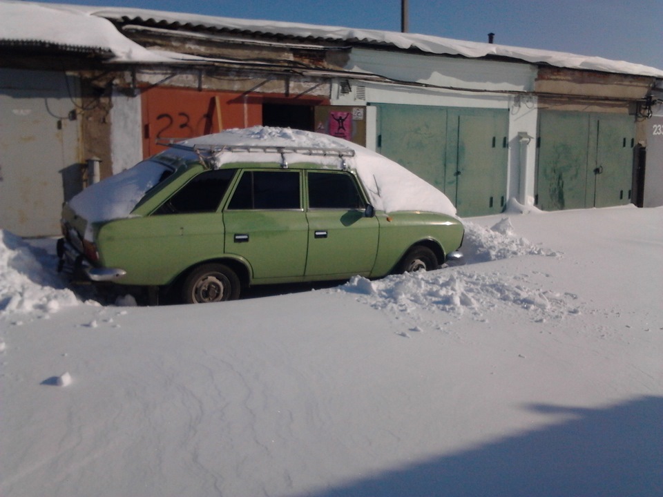 Відвідав моську 4