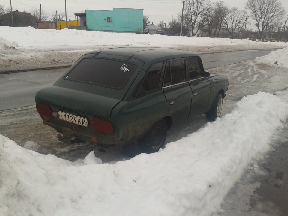 у такому вигляді ми зимуємо 2
