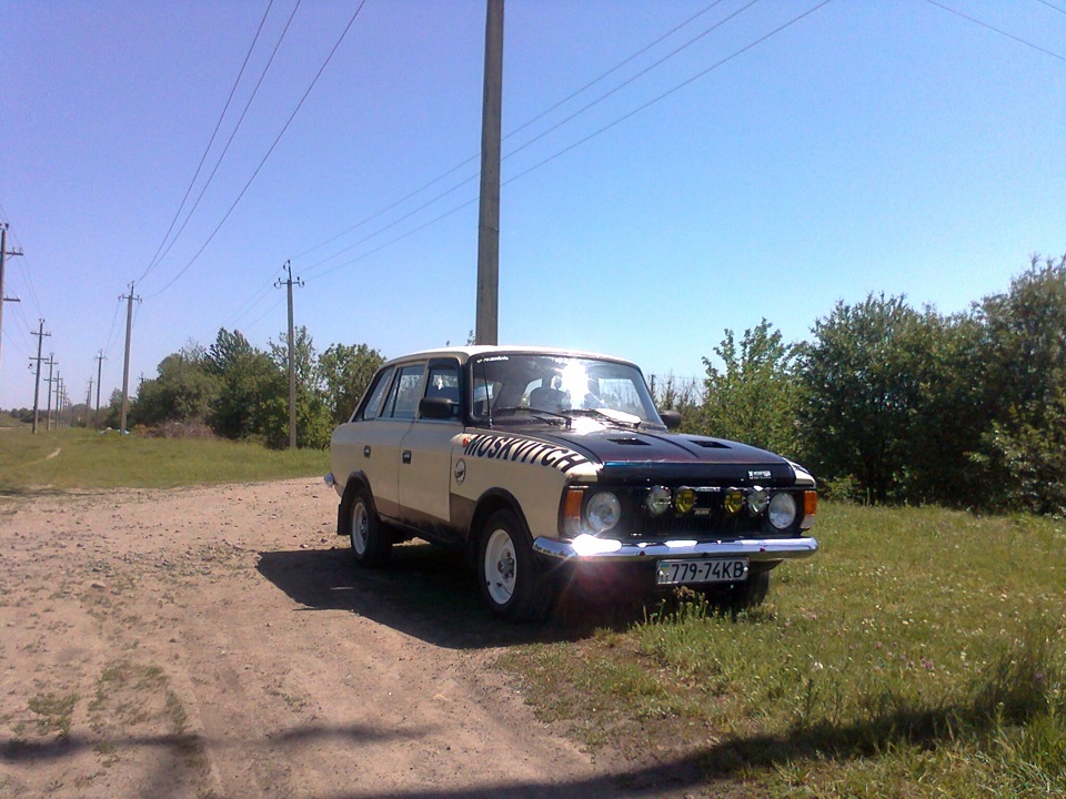 Фото Іжика на природі 4