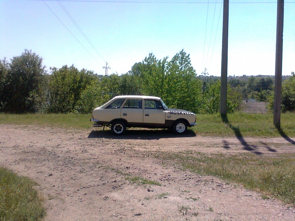 Фото Іжика на природі 2
