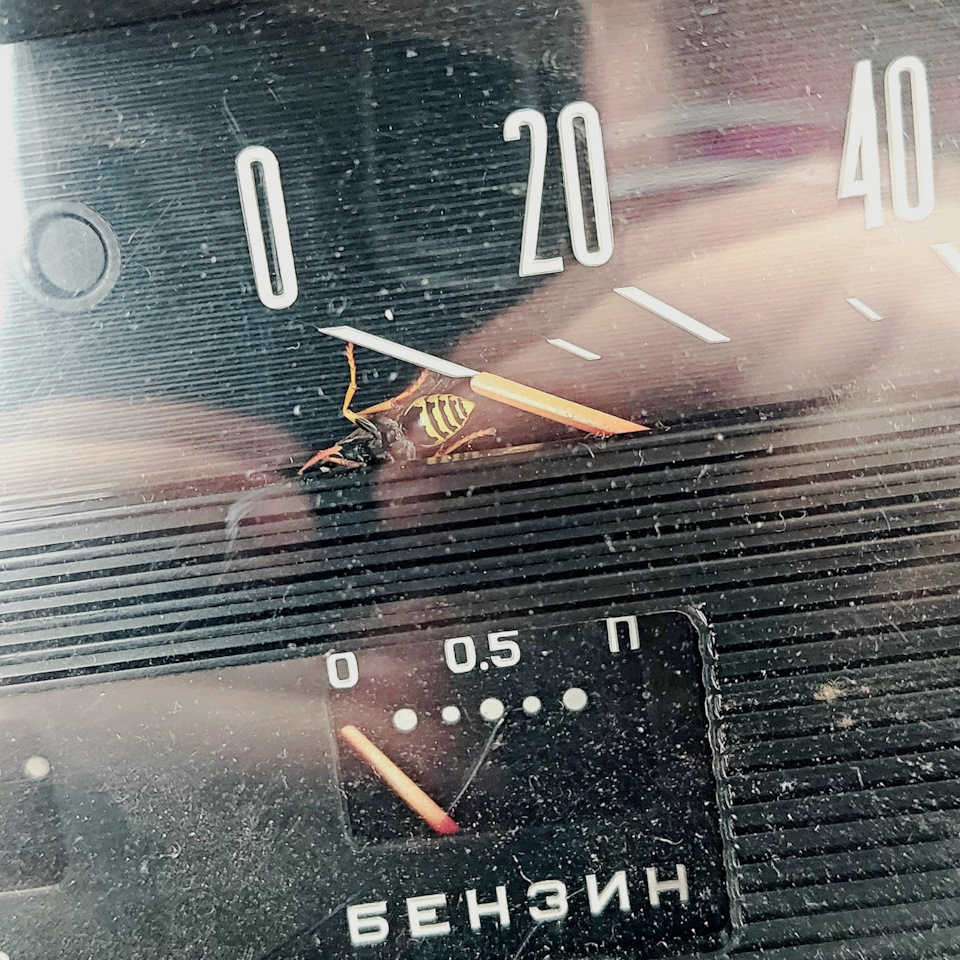 Відновлення через 7 років перебування на вулиці. 1