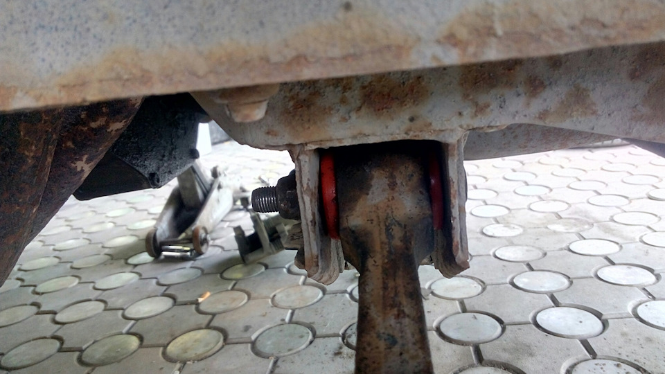 кермова в нормі 2