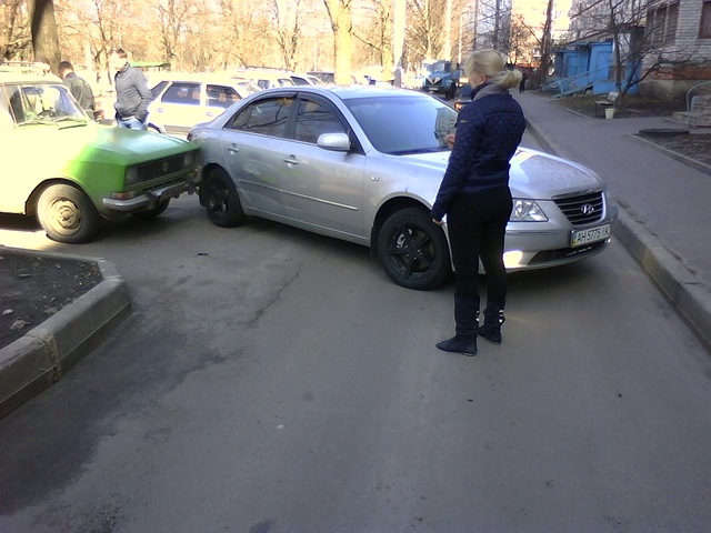 Як вівця , сівба за кермо не помістилася там, де вантажівка проїде... 5
