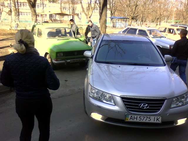 Як вівця , сівба за кермо не помістилася там, де вантажівка проїде... 1