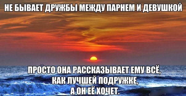 Бак. Не варто слухати лисиця. 5