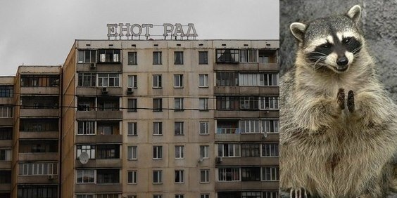 Чи можна замінити кришку перемикання передач, не знімаючи КПП? 1