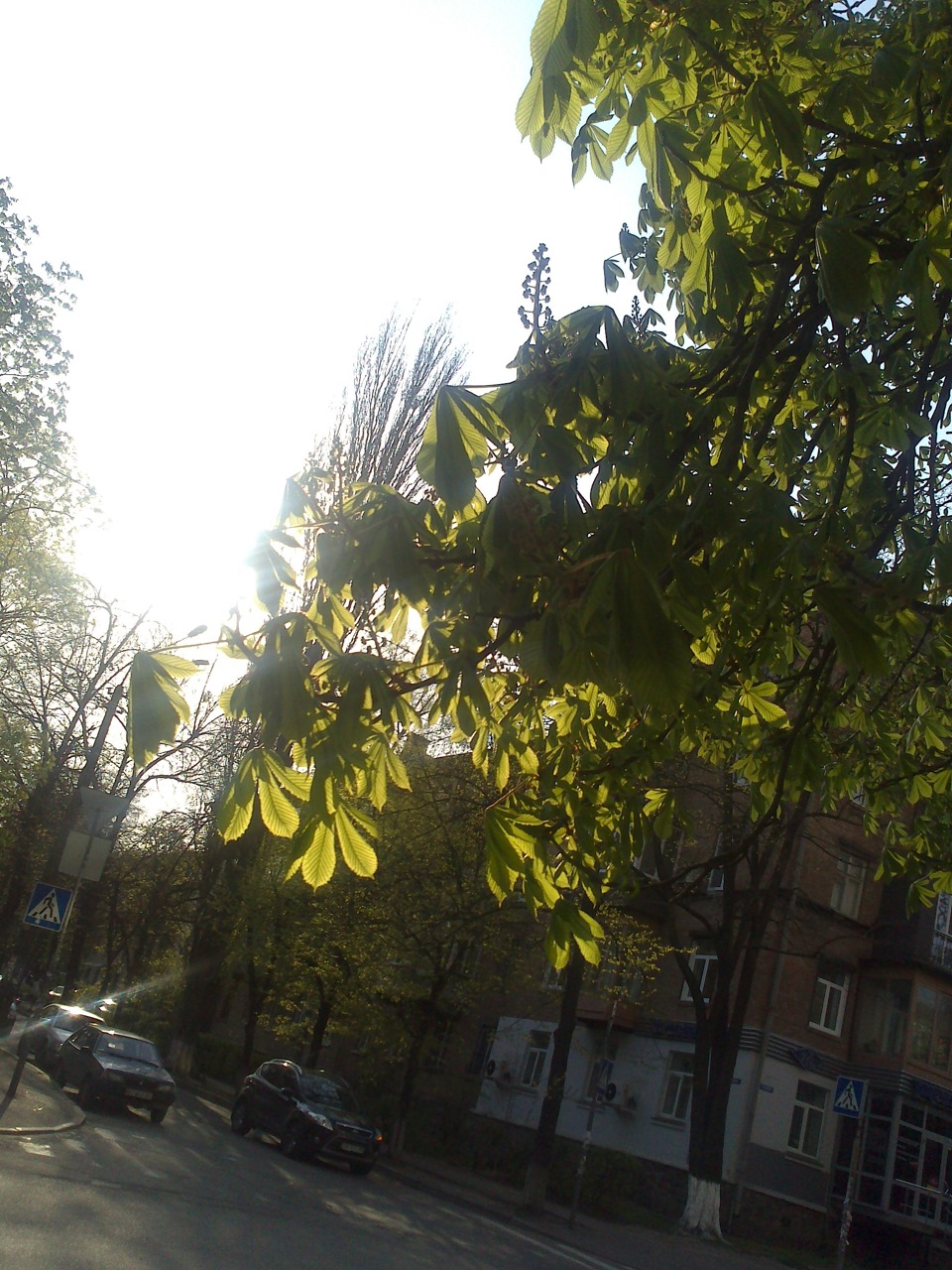 Свідоцтво ... 3