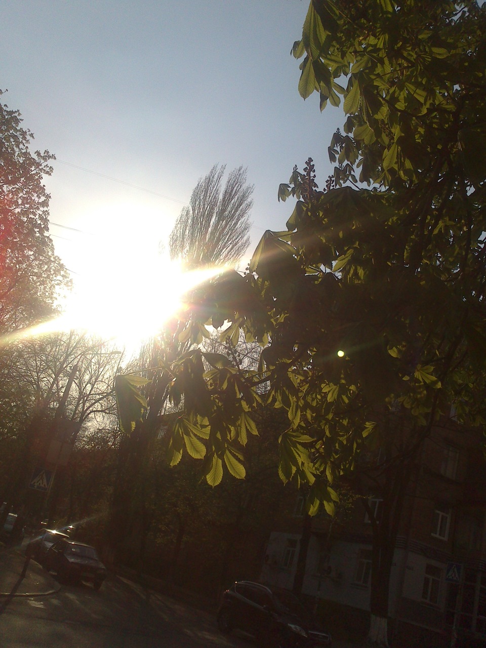Свідоцтво ... 4