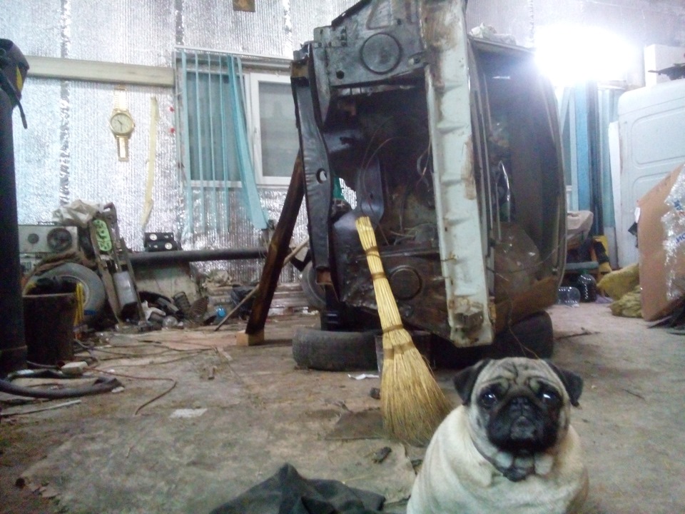 новини з полів 3