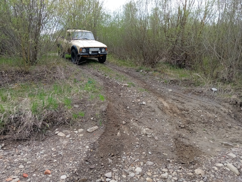 Запис 12 покотушки 3