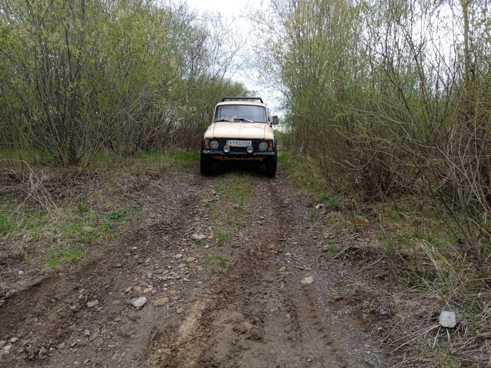 Запис 12 покотушки 2