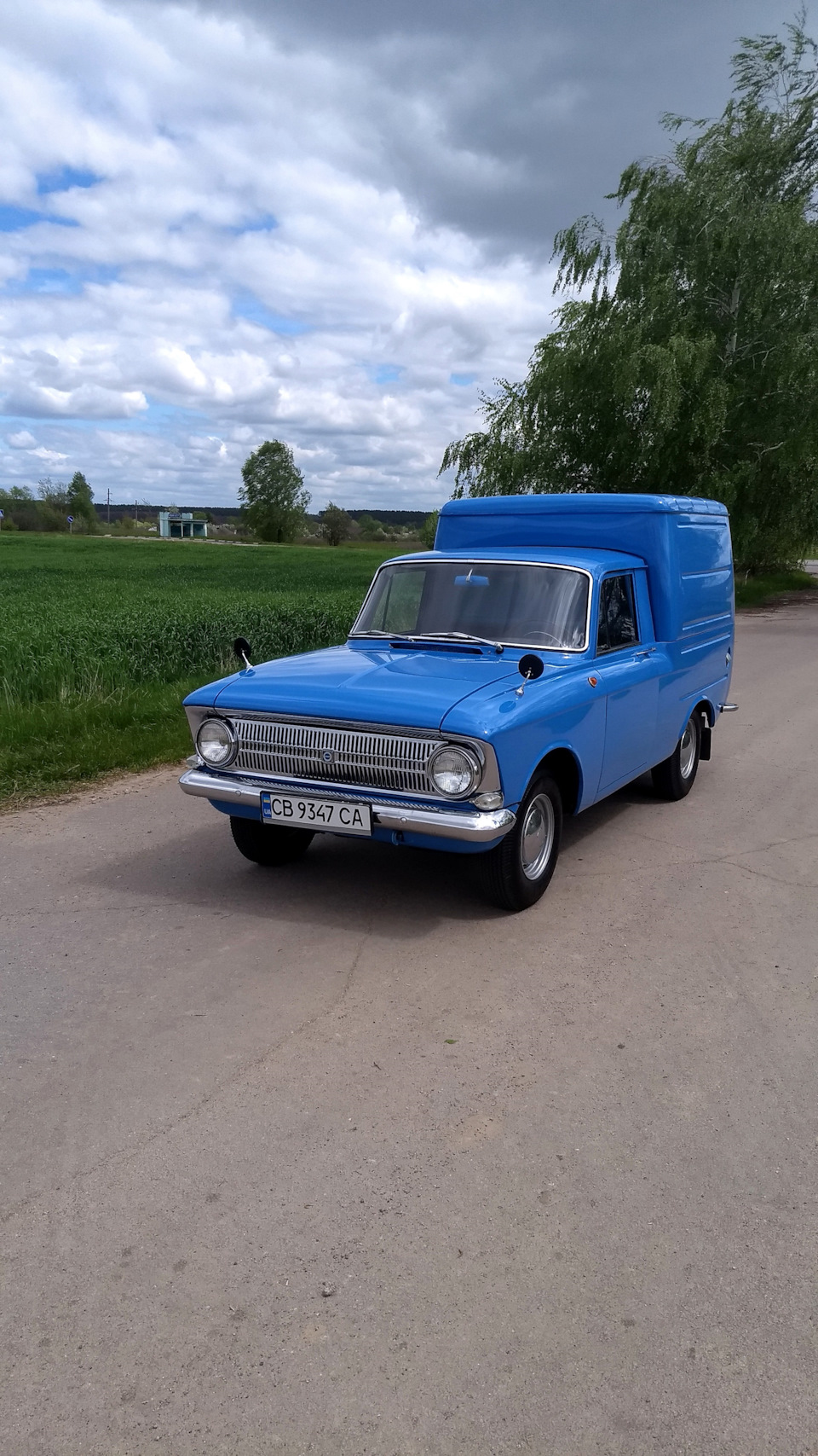 Сьогодні вранці на природі 5