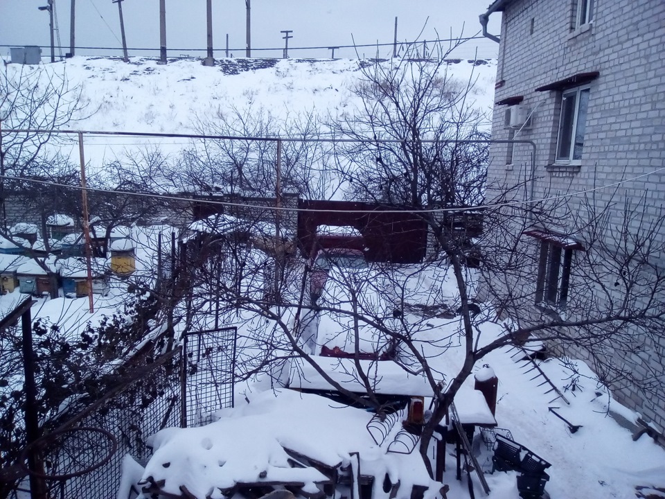Зима в Одесі, січень 2016 1