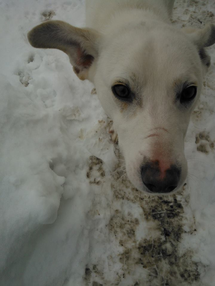 Плановий завод. 5