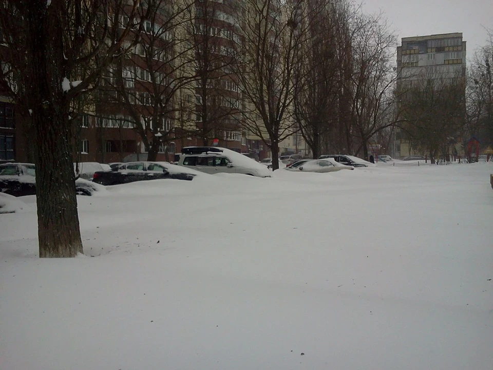 23 березня
