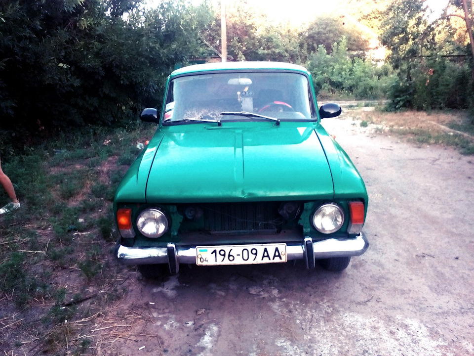 Повіки та мухобійка 2