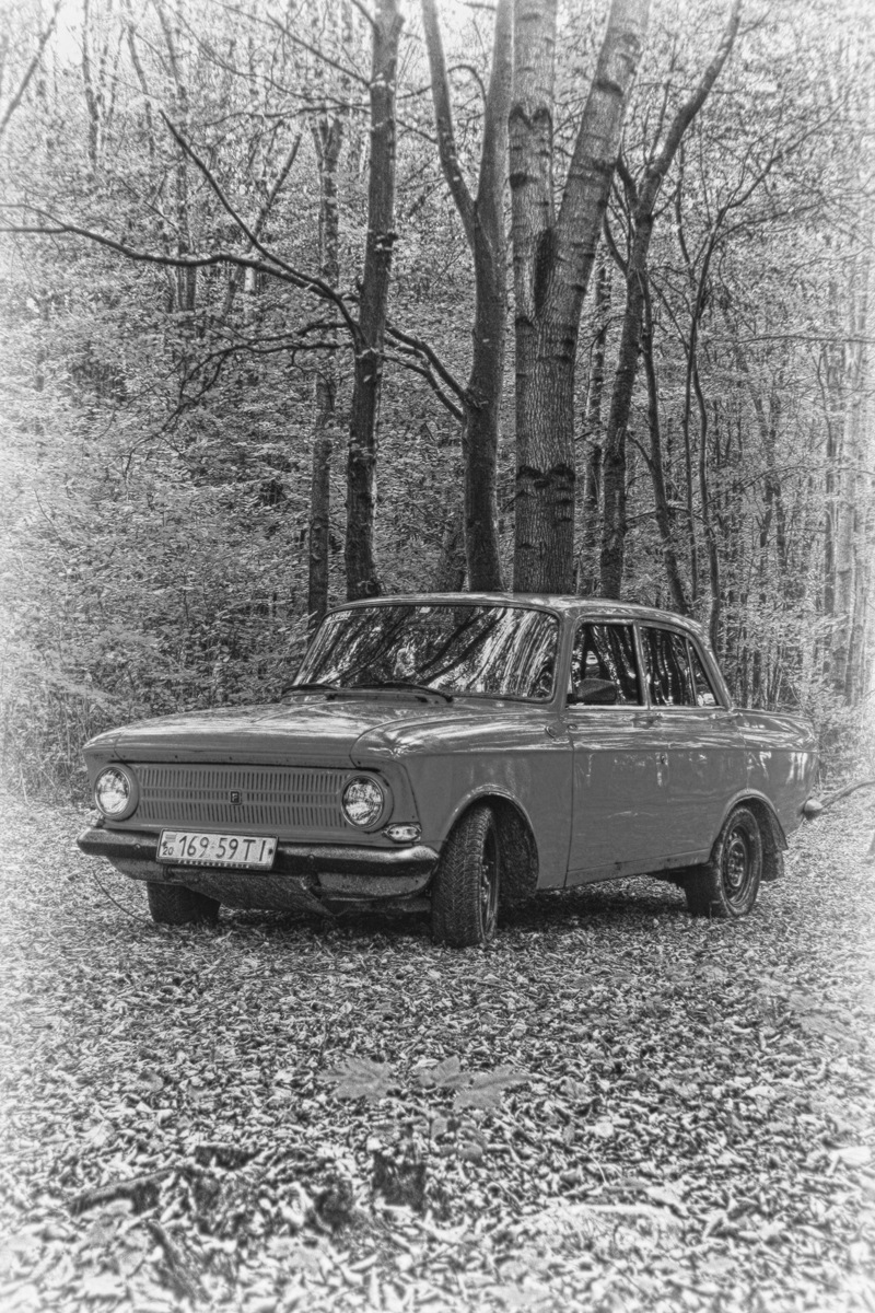 Осіння фотосесія Frankenshteina у лісі. Частина 1 2