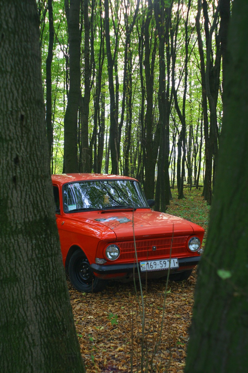 Осіння фотосесія Frankenshteina у лісі. Частина 1 3