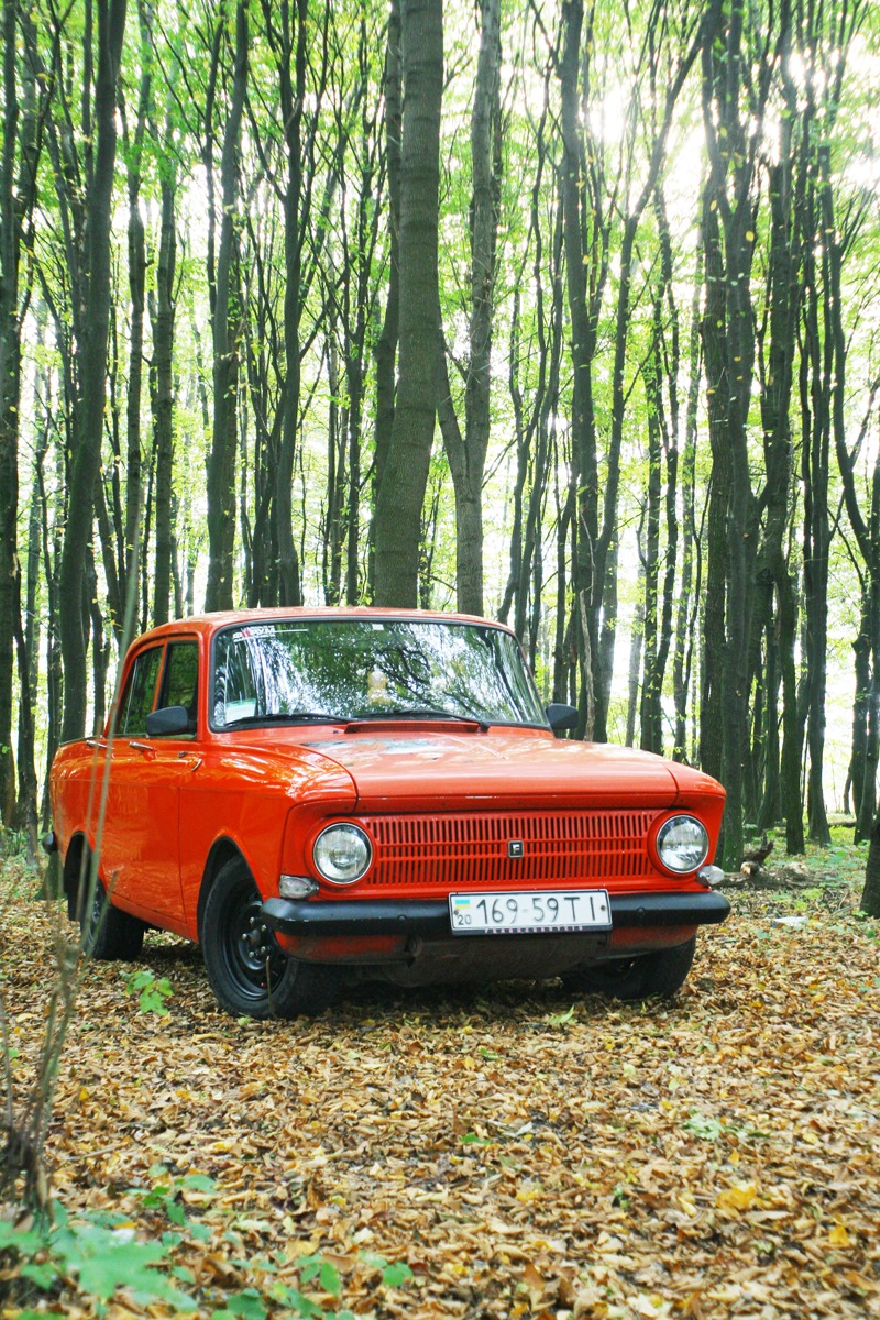 Осіння фотосесія Frankenshteina у лісі. Частина 1 4