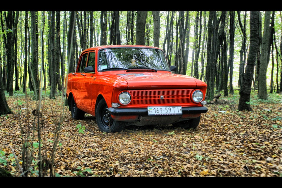 Осіння фотосесія Frankenshteina у лісі. Частина 1 5
