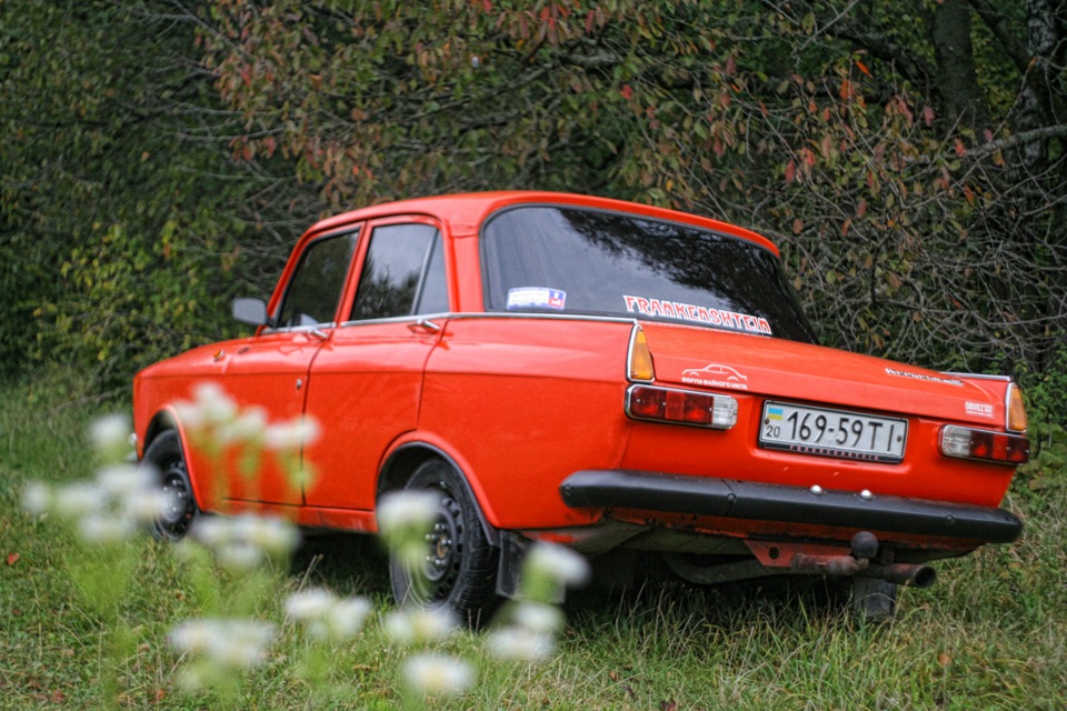Осіння фотосесія Frankenshteina у лісі. Частина 2 2