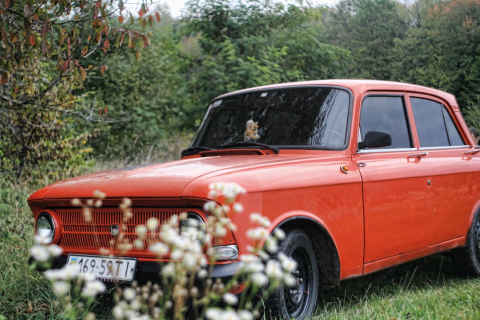 Осіння фотосесія Frankenshteina у лісі. Частина 2 4