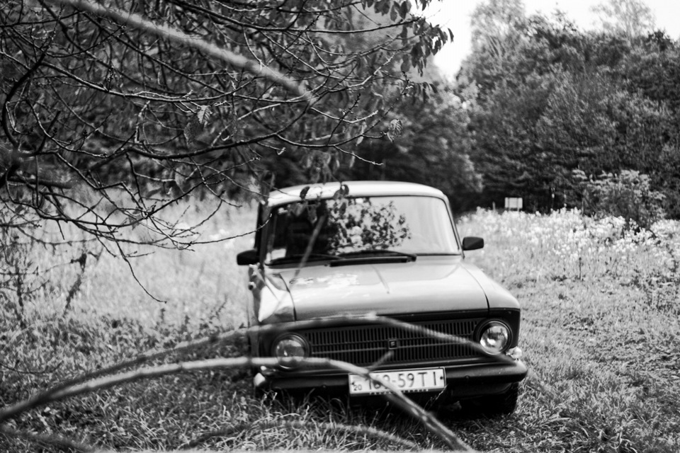 Осіння фотосесія Frankenshteina у лісі. Частина 2 5