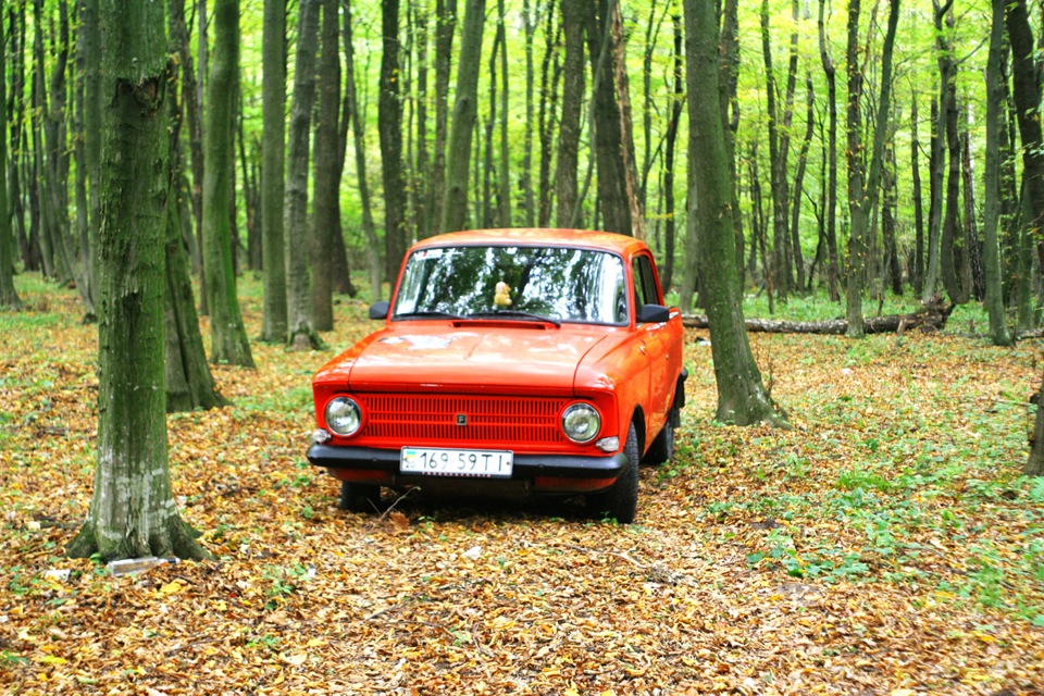 Осіння фотосесія Frankenshteina у лісі. Частина 3 2