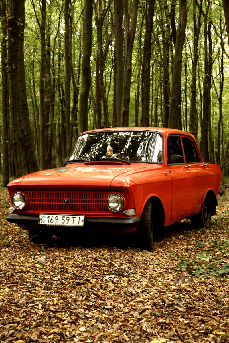 Осіння фотосесія Frankenshteina у лісі. Частина 3 5
