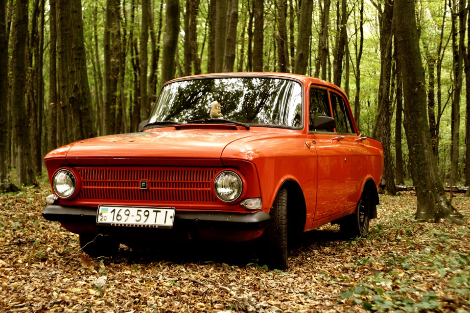 Осіння фотосесія Frankenshteina у лісі. Частина 3 4