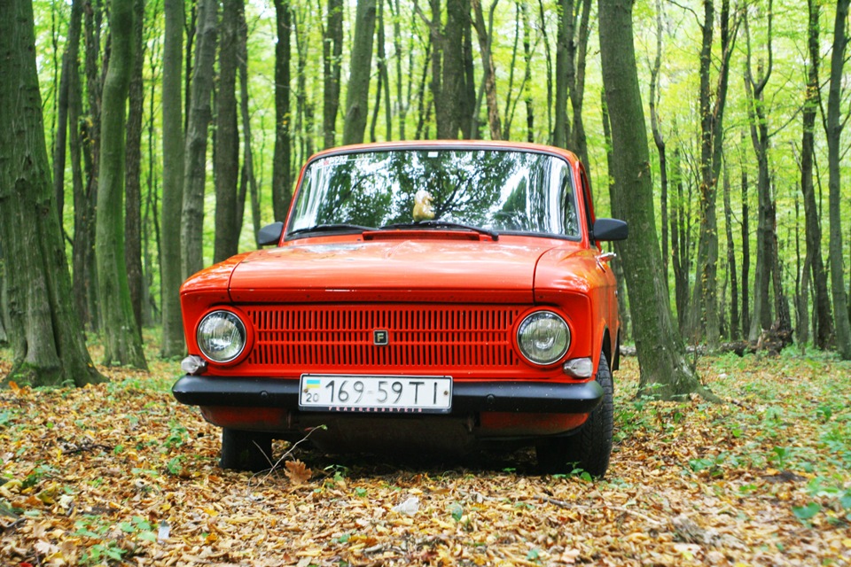 Осіння фотосесія Frankenshteina у лісі. Частина 3 3