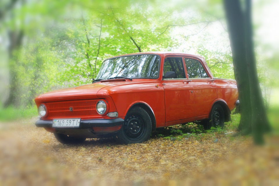 Осіння фотосесія Frankenshteina у лісі. Частина 3 1