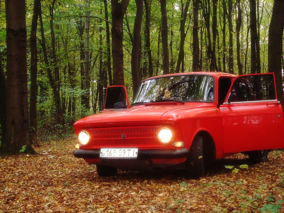 Осіння фотосесія Frankenshteina у лісі. Частина 4 3