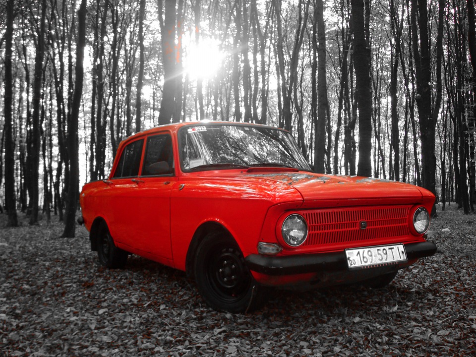 Осіння фотосесія Frankenshteina у лісі. Частина 4 1