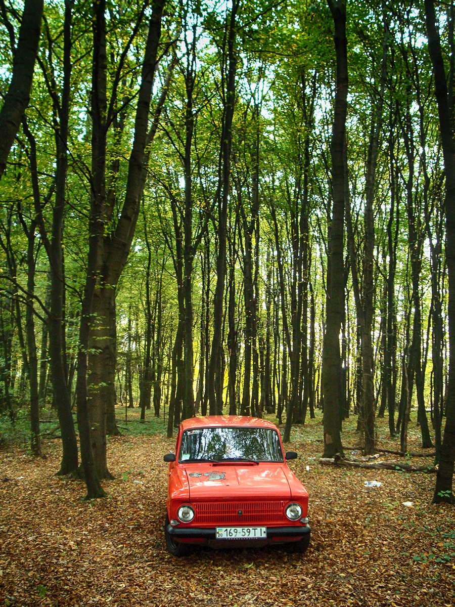 Осіння фотосесія Frankenshteina у лісі. Частина 4 2