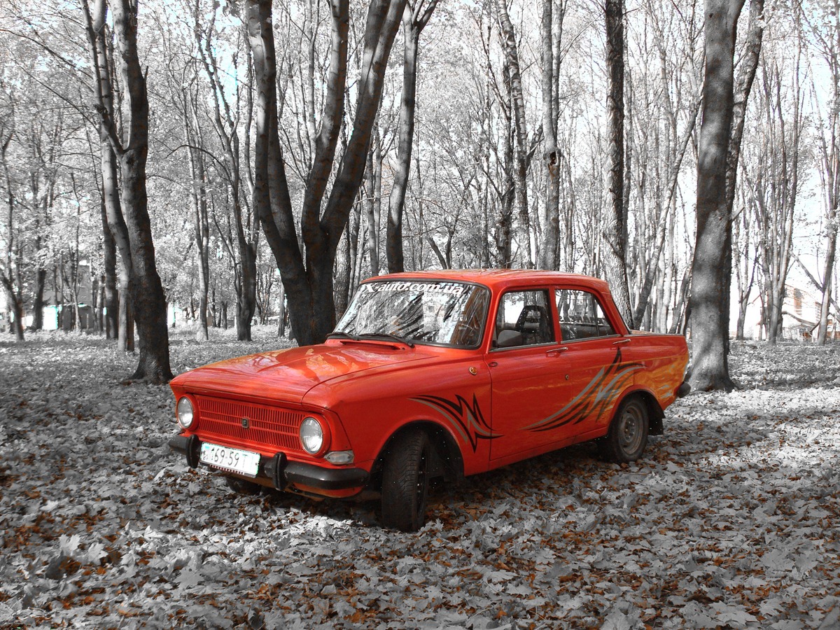 Осінній фотосет. Ч.1 - Осінній ліс 4